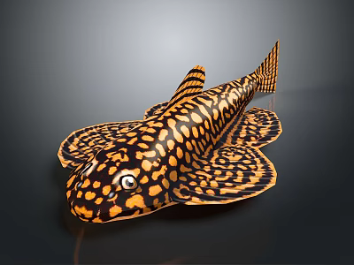 Black and orange spotted striped fish shaped decorative household item with vibrant pattern 3d model