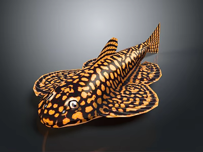 Catfish Carp Sturgeon Bass Freshwater Fish Various Carp Grass Carp Crucian Carp 3d model