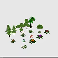 Diverse Plant Collection Including Trees Shrubs Flowers Mushrooms and Green Foliage