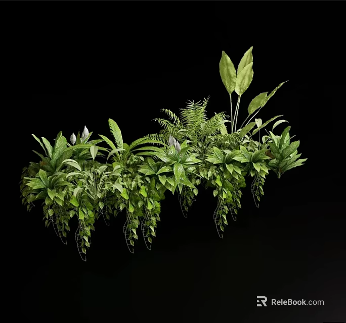 Lush Green Plants Display With Various Foliage Leaf Shapes And Hanging Vines On Black Background 3d model 