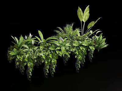 Lush Green Plants Display With Various Foliage Leaf Shapes And Hanging Vines On Black Background 3d model