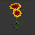 Vibrant Yellow and Red Flower with Green Stems and Leaves Against Gray Background