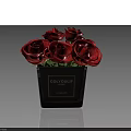 Red Roses Potted In Black COLOVOUK Container As Decorative Indoor Plant