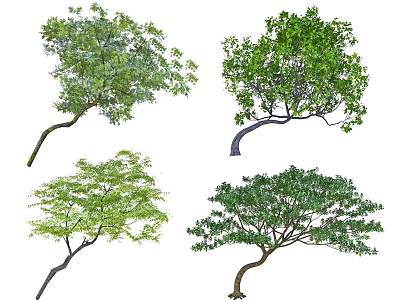 Various Arbor Trees With Different Crown Shapes And Green Foliage 3d model