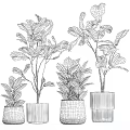 Lush Green Leafy Potted Plants In White Textured Ceramic Pots For Indoor Decor