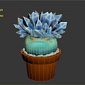 Crystal Like Blue Succulent Plant In Orange Terracotta Pot With White Base