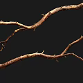 Natural Stone And Wood Branches With Textured Surface On Black Background 3d model