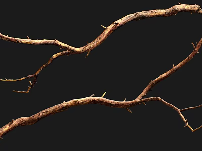 Natural Stone And Wood Branches With Textured Surface On Black Background 3d model