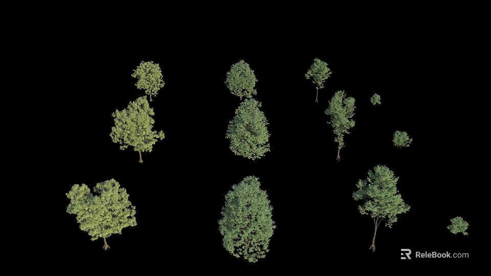 Diverse Arbor Trees Displaying Different Heights and Lush Green Foliage 3d model 
