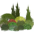 Diverse Shrubs with Red Yellow Flowers and Varied Shapes in Garden