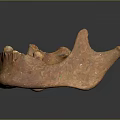 Ancient Orange Spotted Pottery Relic Featuring Irregular Shape And Rough Texture