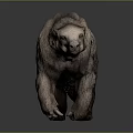 Realistic Sloth Model With Brown Fur Walking Posture And Detailed Texture