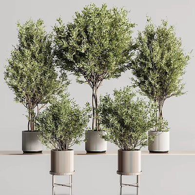 Modern potted potted combination 3d model