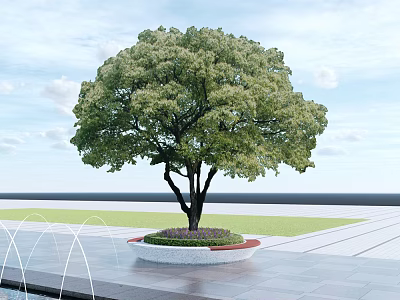 Decorative Circular Tree Pit With Large Green Tree And Surrounding Fountains On Paved Ground 3d model