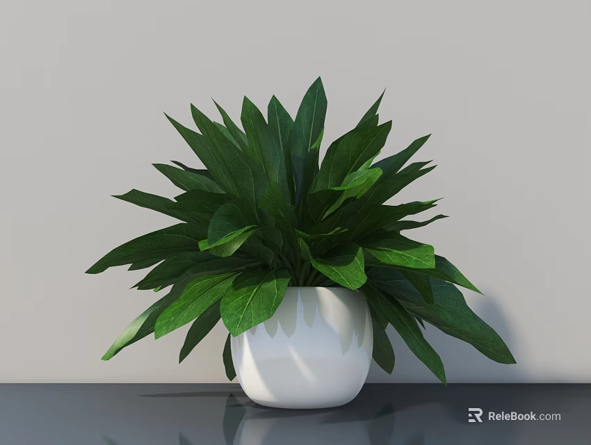 Bonsai Potted Plant With Lush Green Leaves In White Pot On Dark Tabletop Light Background 3d model 