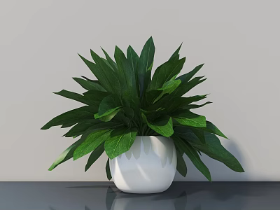 Bonsai Potted Plant With Lush Green Leaves In White Pot On Dark Tabletop Light Background 3d model