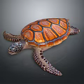 Realistic Orange Brown Patterned Shell Turtle With Spotted Flippers On Dark Background 3d model