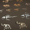 Various Dinosaur Skeleton Fossils of Different Types Displayed on Dark Background