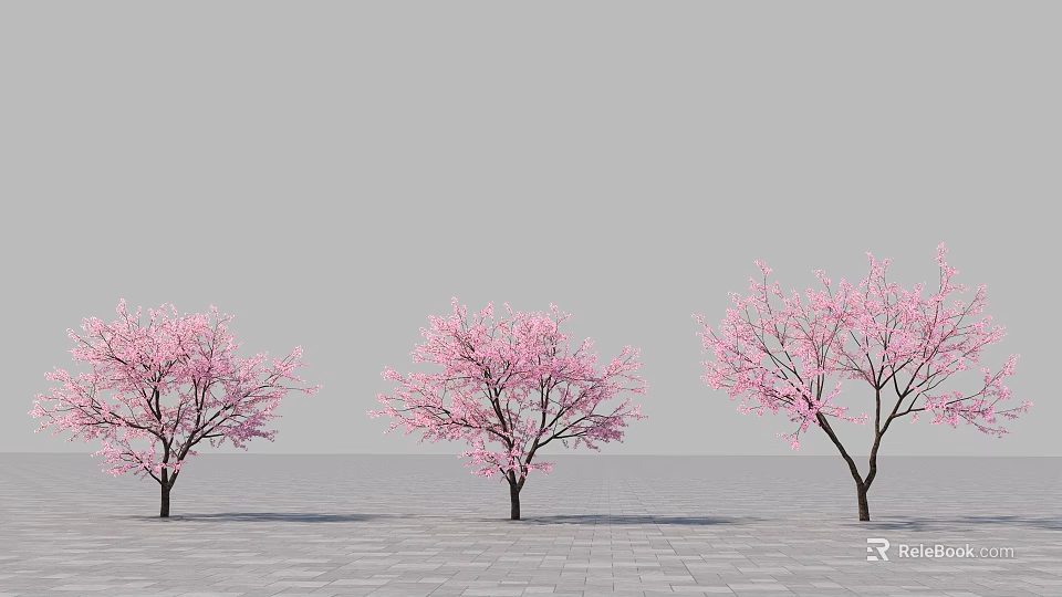 Three Trees With Pink Blossoms Against Gray Sky And Paved Ground 3d model