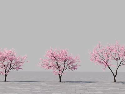 Three Trees With Pink Blossoms Against Gray Sky And Paved Ground 3d model