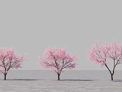 Modern Cherry Tree 3d model
