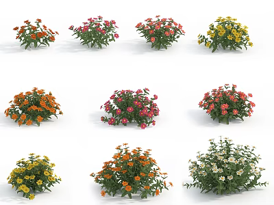 Colorful Flowering Plants Featuring Various Types And Different Colors For Garden 3d model