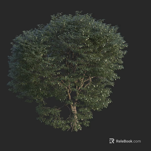 Tall Tree With Lush Green Foliage And Sturdy Trunk In Natural Scene 3d model 