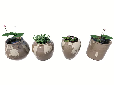 Bonsai Potted Plants in Brown White Speckled Pots Featuring Green Plants Pink Flowers Lotus Leaves 3d model