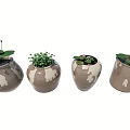 Bonsai Potted Plants in Brown White Speckled Pots Featuring Green Plants Pink Flowers Lotus Leaves