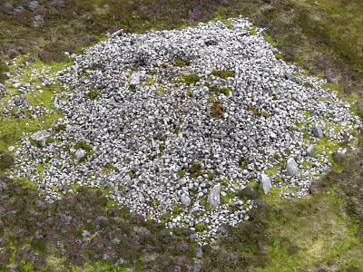 Natural Stones And Wood Structure In Green Grassland With Purple Flowers 3d model