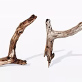 Natural Wood Branches With Stone Like Texture And Rustic Appearance 3d model