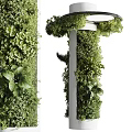 Hanging Basket Plants With Lush Green Foliage For Indoor Natural Home Decor Style