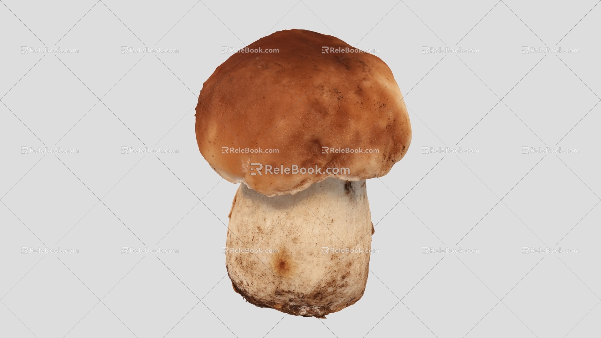 Mushroom Scan Mushroom Vegetables 3d model