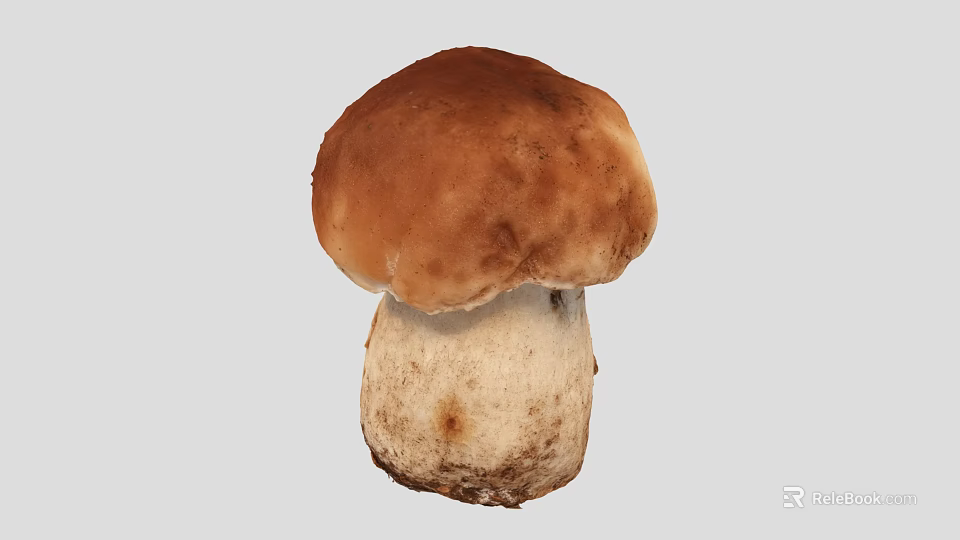 Fresh Organic Edible Mushroom Vegetable with Brown Cap and White Stem for Healthy Cooking Recipes 3d model 