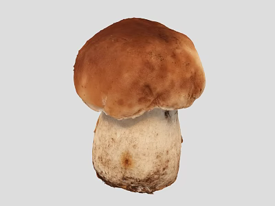 Fresh Organic Edible Mushroom Vegetable with Brown Cap and White Stem for Healthy Cooking Recipes 3d model