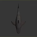Realistic Marine Shark With Sharp Teeth Dorsal Fin And Streamlined Body Features 3d model