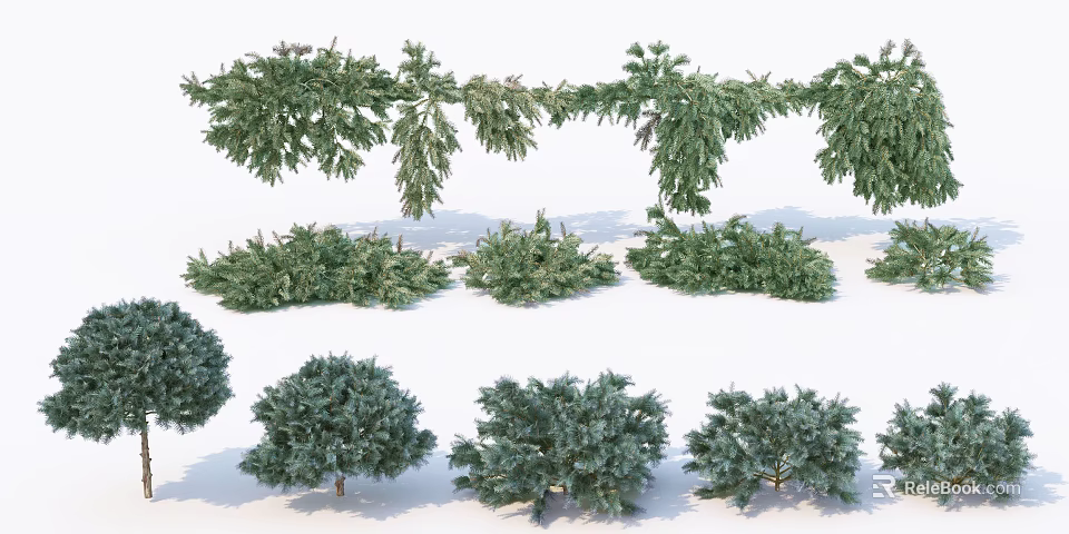 Evergreen Tree Varieties in Different Shapes and Sizes for Landscape Design 3d model 