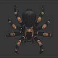 Realistic Black Brown White Spider With Striped Legs On Reflective Dark Background