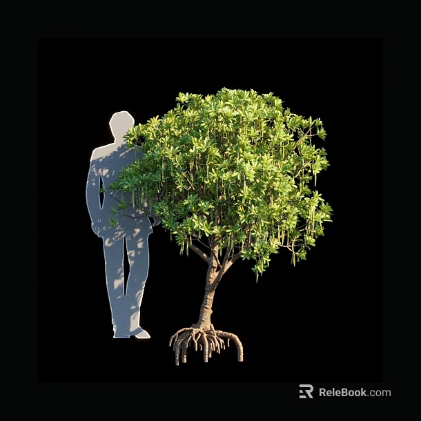 Arbor With Lush Green Foliage And Exposed Roots Beside Human Silhouette 3d model 