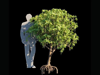 Arbor With Lush Green Foliage And Exposed Roots Beside Human Silhouette 3d model