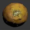 Orange Yellow Prickly Pear Fruit With Small Spines On Dark Background Surface