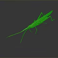 Game Movie Character Green Grasshopper With Slender Body Red Antennae Dark Background And Reflection