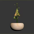 Plant With Green Spiral Stem And Yellow Bell Shaped Flower In Pink Pot With Soil