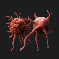 Red Biological Cells With Projections In 3D Rendering On Black Background 3d model