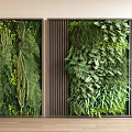 Indoor Living Wall Design With Lush Green Foliage And Vertical Wooden Slats