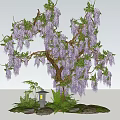 Lush Arbor Covered With Purple Flowers Green Plants Stones And Stone Lantern
