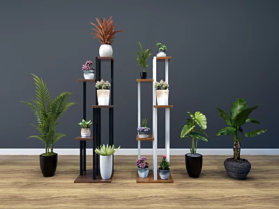 Garden Decor With Various Height Plant Stands Potted Green Plants Succulents Gray Wall Wooden Floor 3d model