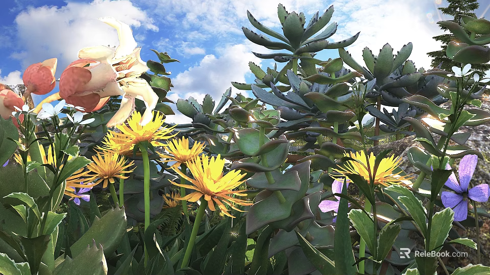 Potted Plants With Succulents Yellow Flowers And Green Leaves Under Blue Sky 3d model 