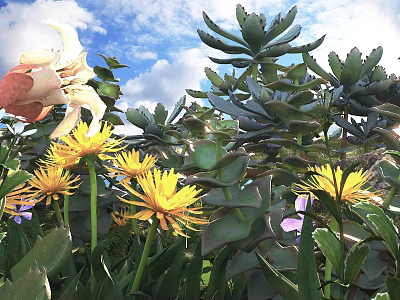 Potted Plants With Succulents Yellow Flowers And Green Leaves Under Blue Sky 3d model