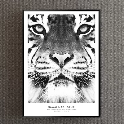 Black And White Tiger Portrait Animal Painting With Detailed Eyes And Whiskers Sawai Madhupur 3d model